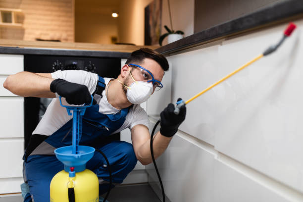 Best Flea Control Services  in Thompson Falls, MT