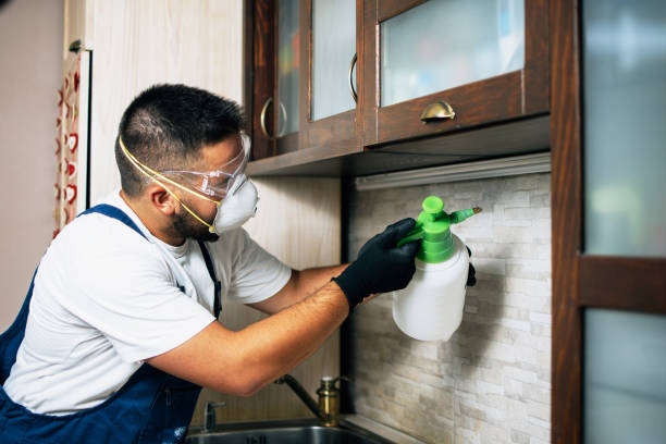 Best Cockroach Control Services  in Thompson Falls, MT