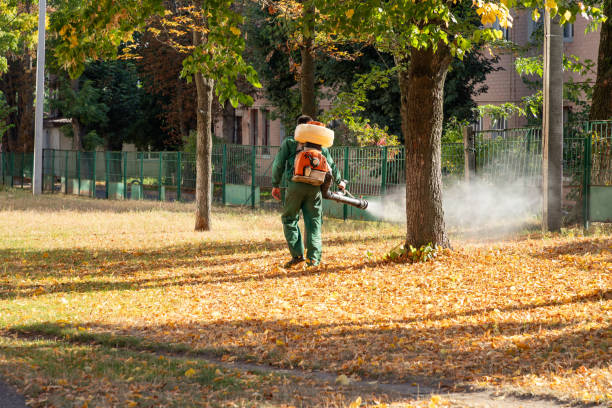 Best Local Pest Control Services  in Thompson Falls, MT