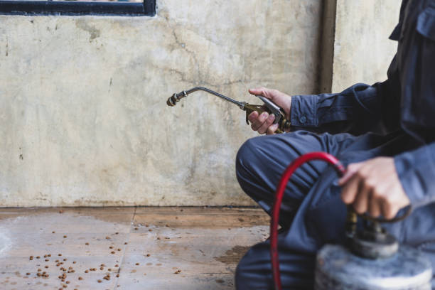 Pest Prevention Services in Thompson Falls, MT